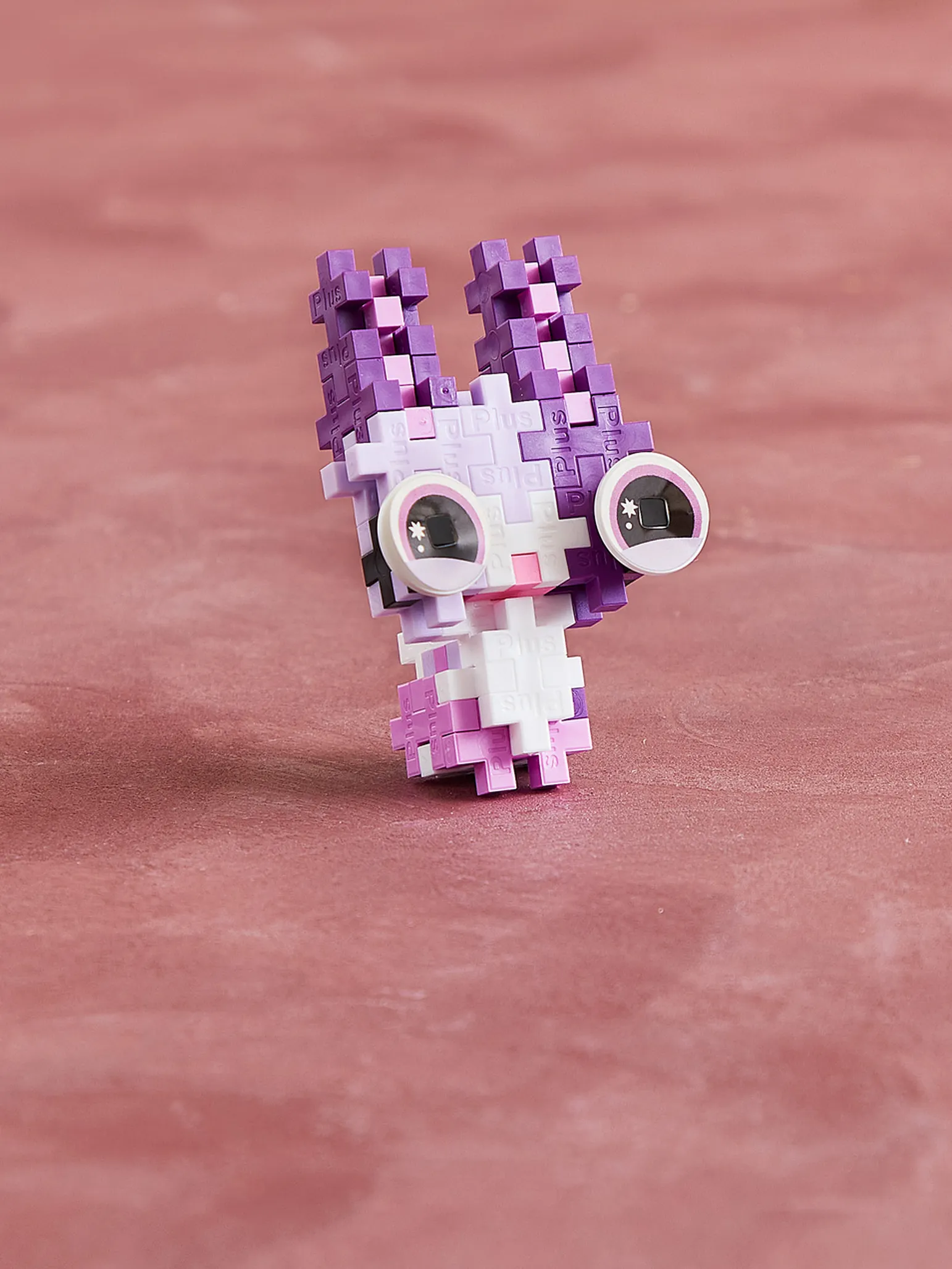 Kæledyrspakke - Kanin